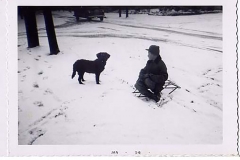 1956-boy_and_dog