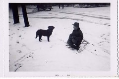 1956-boy_and_dog 1956-boy_and_dog