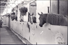 1979-3632 1979-3632