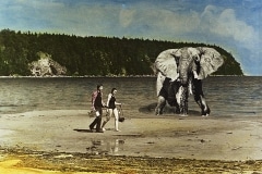 1985-elephant_trib1,postcard_sold-_over_10000-still_selling 1985-elephant_trib1,postcard_sold-_over_10000-still_selling