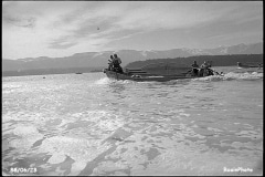1988-0623-herring 1988-0623-herring