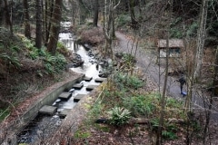 Brooklyn Creek from Balmoral Ave. Brooklyn Creek from Balmoral Ave.