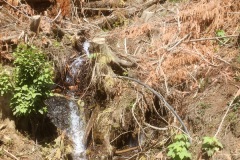 Harvesting debris next to a Cruickshank River feeder stream Harvesting debris next to a Cruickshank River feeder stream