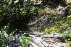 Weathered slash pile left to rot near Cruickshank River