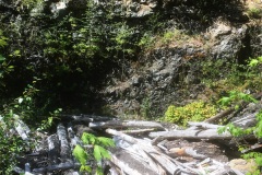 Weathered slash pile left to rot near Cruickshank River Weathered slash pile left to rot near Cruickshank River