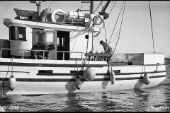 Herring fishing in the 1980s