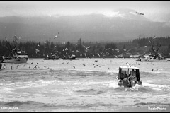 Herring fishing in the 1980s