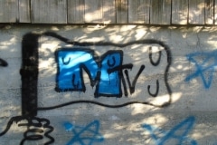 Sept 28 - Angela Burns photo - Shakesides vandalism