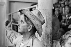 Cowboy at cattle auction