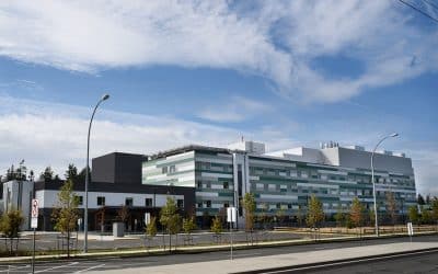 Lagging seniors health care affects CVH, distressed caregivers