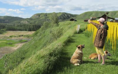Is Site C a Done Deal?