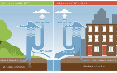 Sponging up the rain, taxing impervious surfaces — what other communities are doing