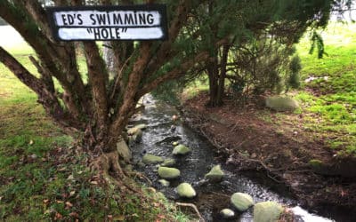 Town of Comox now faces $250,000 Supreme Court lawsuit over pollution