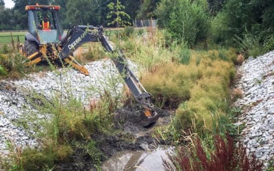 Tonnes of sewage mud removed from Brooklyn Creek, nearby residents say its been piling up for years
